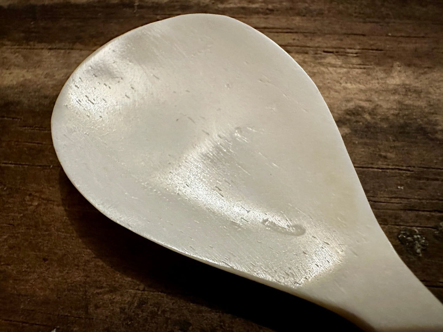 
                  
                    Feather finial bone spoon 
                  
                