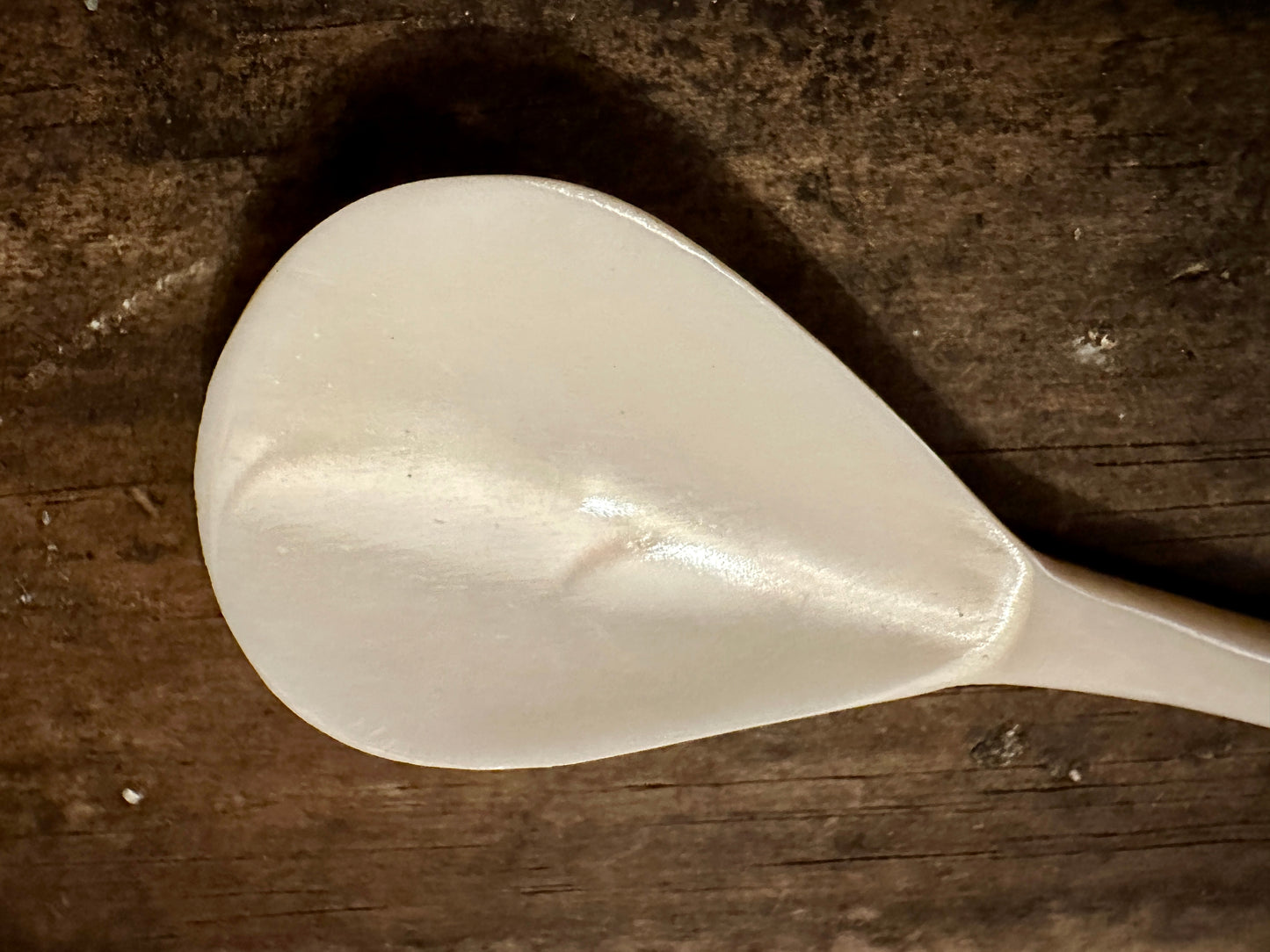 
                  
                    Scallop shell finial bone spoon 
                  
                