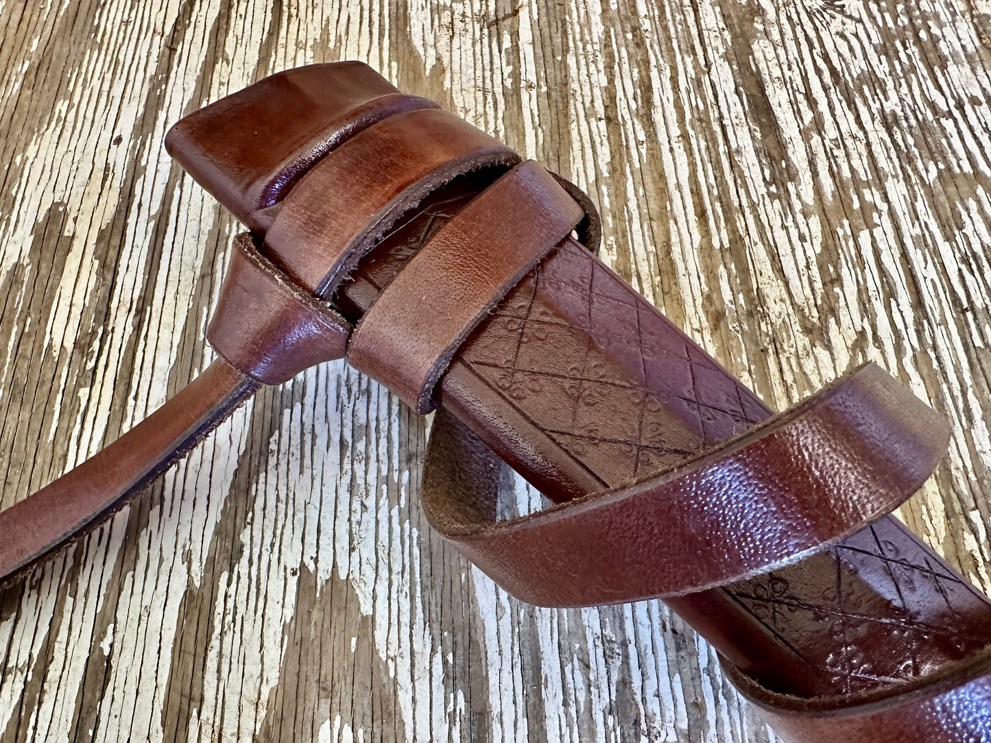 
                  
                    Close up of a brown scabbard
                  
                